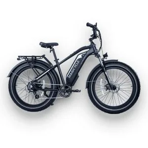 Fat Tire Cruiser 750W E-Bike