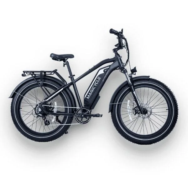 Fat Tire Cruiser 750W E-Bike