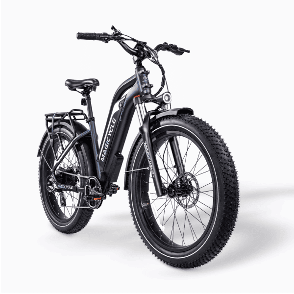 Fat Tire Step Thru 750W E-Bike - Image 2