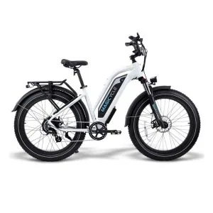 Fat Tire Step Thru 750W E-Bike