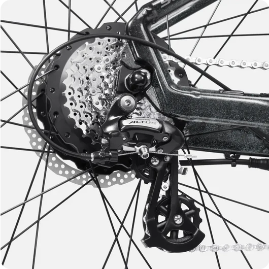 Shimano Shifting System