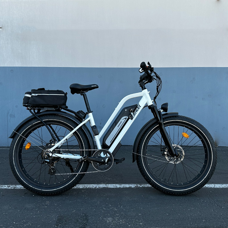 Himiway Cruiser Step Through E-Bikes