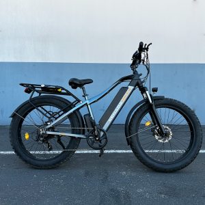 Senada Saber - E-Bike Used